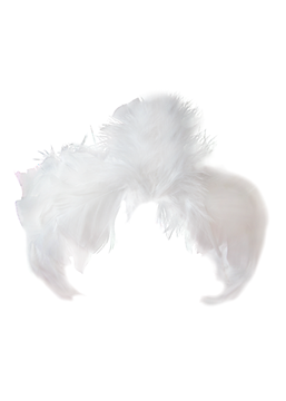 10 Feather headdress for Odetta (